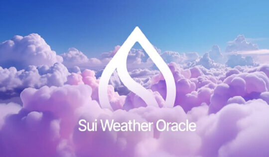 Sui Network's Remarkable DeFi Expansion in 2024