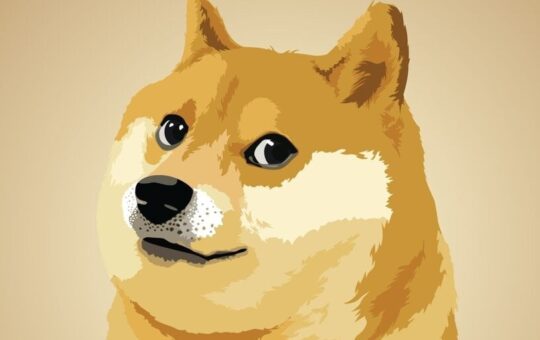 Dogecoin Logo Appears on Elon Musk-led Department of Government Efficiency Website