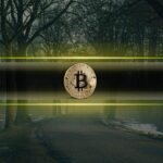 What Are Bitcoin’s Critics Really Afraid of?