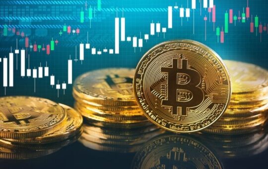Professor Coin: Do Managed Crypto Funds Outperform the Market?