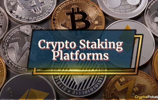 The 5 Best Crypto Staking Platforms in 2025: Everything You Need to Know