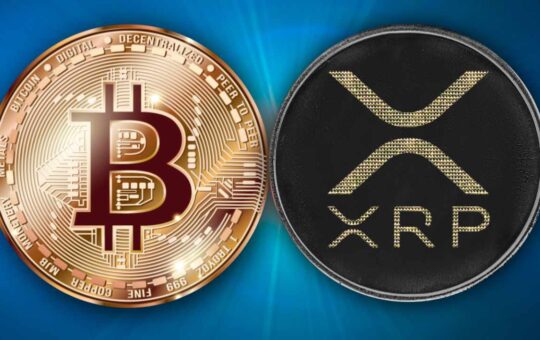 Ripple Donates ‘Skull of Satoshi’ — Says BTC and XRP Aren’t So Different