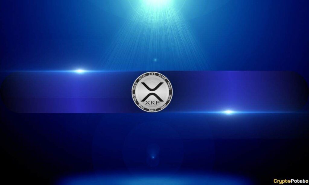 Should Bitcoin Maxis Sweat XRP's Growing Influence?