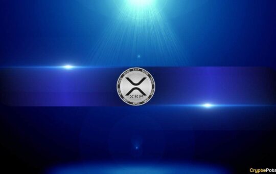Should Bitcoin Maxis Sweat XRP's Growing Influence?