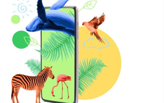 Dots.eco is a platform for real-world environmental rewards in games