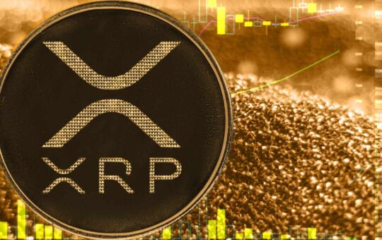 XRP Has Privileged Role on XRPL, Ripple CTO Explains Key Advantages
