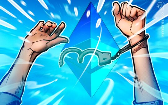 Ethereum Core Dev Safe And Free After Being Detained In Turkey