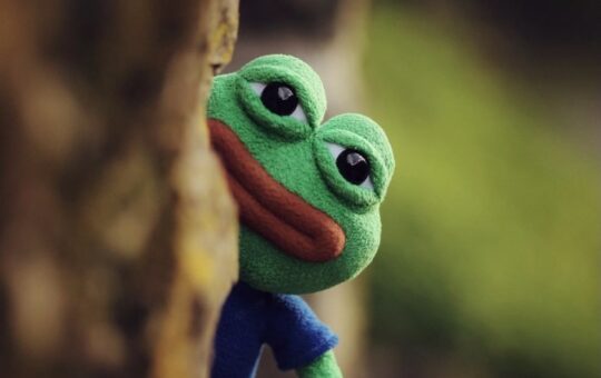 Investor Sues Pepe Meme Creator Over Role in North Korean NFT Hack
