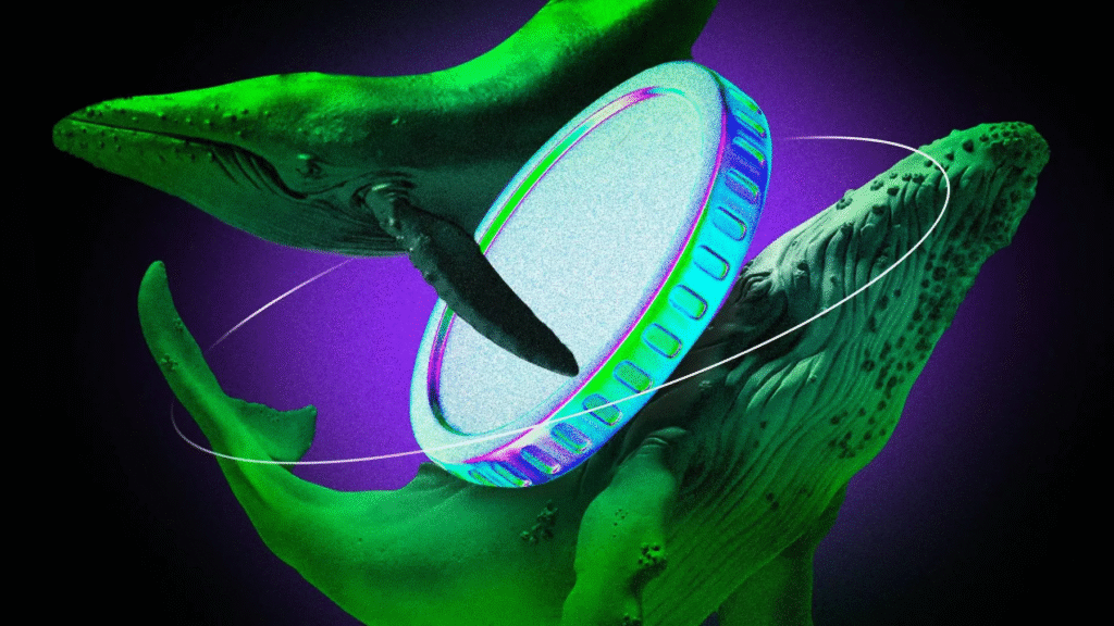 3 Altcoins Crypto Whales Are Buying After Fed Rate Cuts