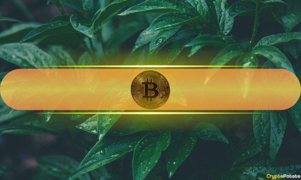 Bitcoin's Healthy Volatility Band Points to Realistic $130K Target