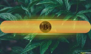 Bitcoin's Healthy Volatility Band Points to Realistic $130K Target