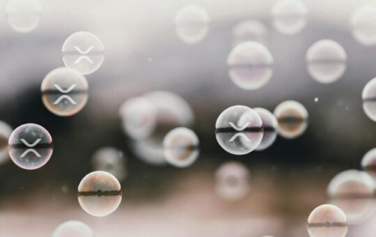 XRP ETFs see steady inflows as total assets hit $1.2B