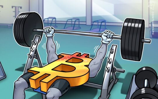 BTC Liquidation Data Could Push Price to New Highs: Analyst