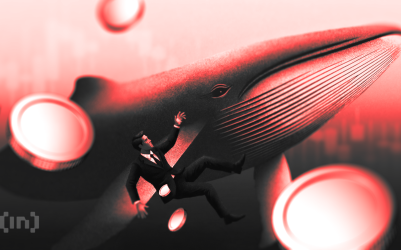 Bitcoin Crash Destroys Every Crypto Treasury: Is Bankruptcy Next?