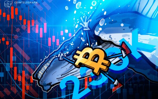 Bitcoin Whales Rebuild Reserves With 236K BTC in 90-days