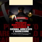 ARRESTATO MA VA AI DOMICILIARI! #frasedelgiorno #carabinieri #governo #perte #giorgiameloni #news