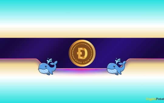 Is Dogecoin Ready to Rally?