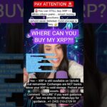 #duet#news#xrp#crypto#bitcoin#cryptowendyo#shorts#CryptoNews#XRPArmy#XRPCommunity#BitcoinNews#viral