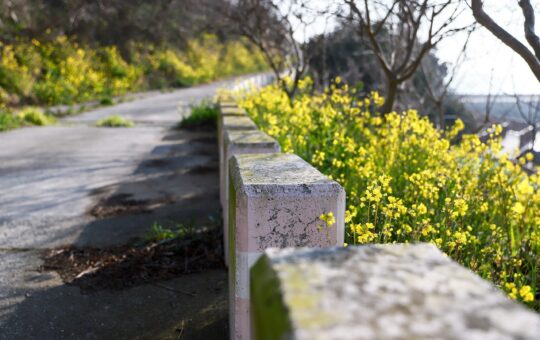 Asylon and Thrive Logic bring physical AI to enterprise perimeter security