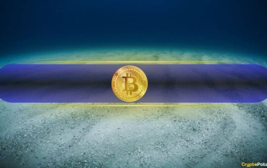 Is Bitcoin Bottoming Out? Long-Term Indicators Shift as Short-Term Pain Persists: Fidelity