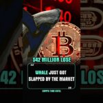 🚨 Crypto Whale Loses $42M Shorting HYPE in Just 18 Days!