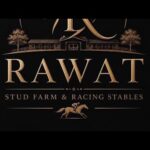 Rawat Stud Farm || Ai news || Tahir Saleem