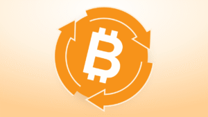 Is 'This Time Is Different' Really Different for Bitcoin Price?