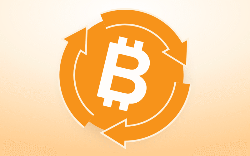 Is 'This Time Is Different' Really Different for Bitcoin Price?