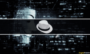 White Hat Operation Rescues 23K NFTs After Payment Processor Exploit