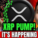 XRP OWNERS I GOT BIG CLARITY NEWS. xrp breaking URGENCY